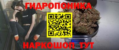 spice Гусиноозёрск