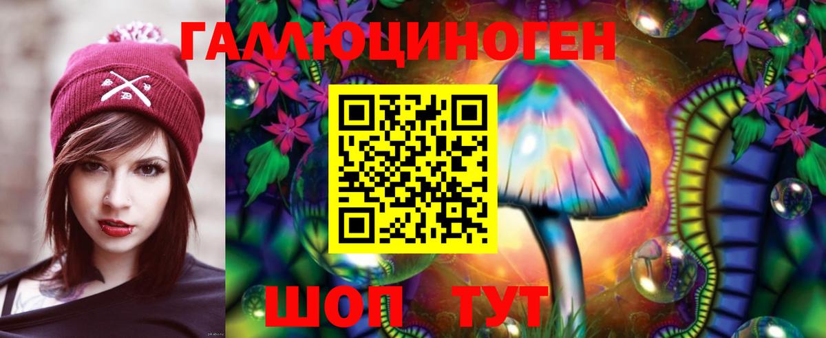Псилоцибиновые грибы GOLDEN TEACHER  дарнет шоп  Новодвинск  Вход с VPN 