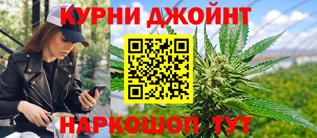 Каннабис план Новодвинск